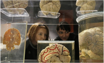 THE POWER OF THOUGHT: HOW TO CREATE A HIGH-TECH PROJECT FOR COMMUNICATION